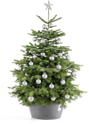 ECOPOTS Support de sapin de Noël avec réservoir d'eau - Pour arbres jusqu'à 3 m de hauteur - Anti-renversement - Gris - En plastique recyclé - Diamètre : 50 cm - Rond - Grand
