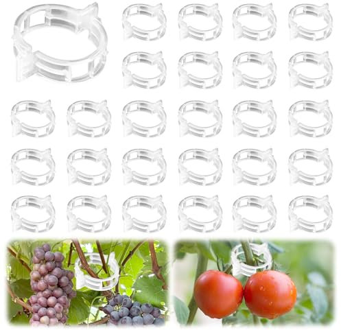 LUMOOM Lot de 200 pinces à tomates en plastique pour plantes grimpantes, tuteurs de tomates, plantes grimpantes, plantes grimpantes, plantes grimpantes, pinces à fleurs pour fixation de légumes et