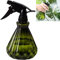 Yrzper Gießkanne für Zimmerpflanzen, Sprühflasche mit abnehmbarer Düse für Pflanzen, Sukkulenten, Gartenblumen, klein, modern, durchscheinend, Sprühflasche für Bonsai-Pflanzen (grün)