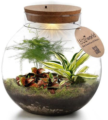 Ecoworld Tropical Biodome - Jardin floral Avec Lampe - Eclairage LED - 3 plantes de Terrarium colorées - Verre sphérique - Ø 25 cm, Hauteur 25 cm
