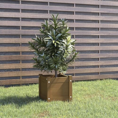 vidaXL Honey Brown Square Planter Box- Solid Pinewood Garden Decor, plants and flowers, Easy-to-Assemble, Comes with Drain