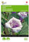 Buzzy Seeds 005533 Engelstrompete (Engelstrompetensamen)