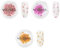 NÉONAIL Nail Art Flowers Set - Trockenblumen - Getrocknete Blumen - Nageldesign Zubehör - Nageldekorationen - Getrocknete Blüten - Nail Decoration - Gelnägel Zubehör - 3 Farben - Rosa, Lila, Orange