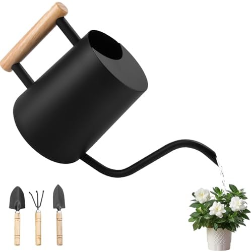 BBWELL Regadera Pequeña de 1L,Regadera para Plantas de Interior con Caño Largo y Pequeñas Herramientas de Jardinería,Mango de Madera,Regaderas de Acero Inoxidable para Plantas en Maceta y Suculentas