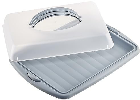 com-four® Kuchencontainer zum Aufbewahren und Transportieren von Backwaren - 43 x 31 x 9 cm Transport-Box - Kuchenbehälter und Lebensmittelbox mit Tragegriffen (grau)