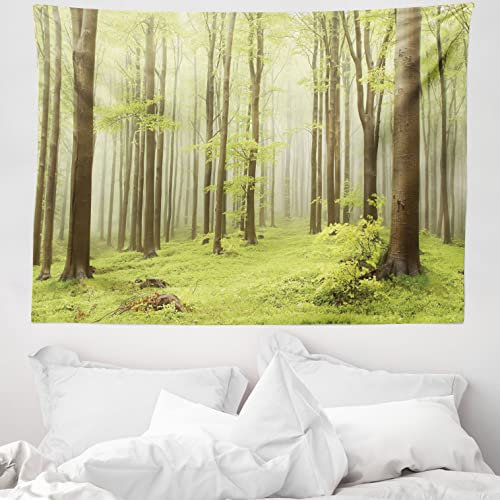 ABAKUHAUS Wald Wandteppich, Misty Frühling Natur aus Weiches Mikrofaser Stoff Waschbar ohne Verblassen Digitaldruck, 150 x 110 cm, Grün Beige