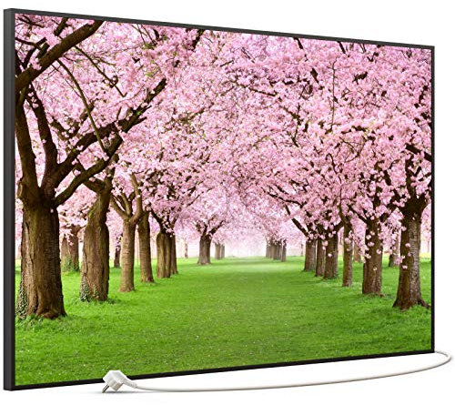 STEINFELD Bild Infrarotheizung mit Thermostat | Made in Germany | viele Motive 350-1200 Watt Rahmen schwarz (900W, 058 Kirschbäume Allee)