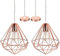 iDEGU 2 PACK Suspension Luminaire Moderne, Lustre Plafonnier Industriel Lampe de Plafond Abat-Jour en Forme de Cage Métal Décoration d'éclairage pour Chambre Salon Salle à Manger, Or Rose (25CM)