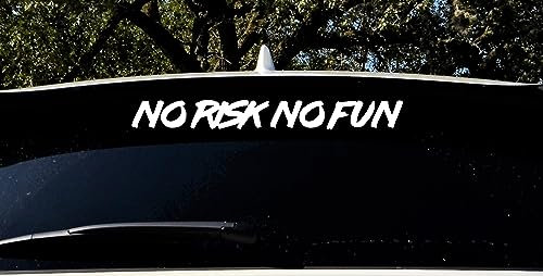 Auto Aufkleber | No Risk No Fun | Spruch Tuning Heckscheibenaufkleber Autofahrer Sport Daily Dekor Tattoo Autoaufkleber KFZ Tuningzubehör Außen (weiß glanz)