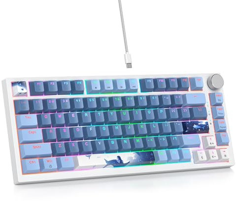 SOLIDEE Tastiera Gaming Meccanica 75% RGB, Hot Swappable, Gasket, 82 Tasti TKL NKRO Compatta Con Manopola Del Volume (82 Sea Blue)