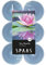 Spaas 12 Maxi Teelichter, ± 10 St. - Fairy Waterlily, 0392103.192, Grau-blau, D 58 mm x H 24 mm