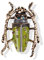 YAZILIND Legierung Emaille Brust Pin Strass Insekt Käfer Tier Brosche Pin Frauen Corsage Partei Schmuck Geschenk Locust-2