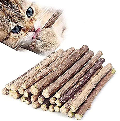 Simona Micah Katzenminze-Stäbchen, Bio-Kauspielzeug, natürliche Pflanze, Matatabi Silvervine Kaustäbchen, Katzenzahnreinigung, Kauspielzeug für Katzen, Kätzchen