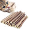 Simona Micah Katzenminze-Stäbchen, Bio-Kauspielzeug, natürliche Pflanze, Matatabi Silvervine Kaustäbchen, Katzenzahnreinigung, Kauspielzeug für Katzen, Kätzchen
