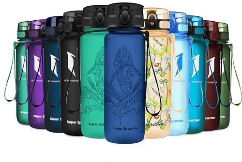 Super Sparrow Bouteille d'eau - Gourde - 500ml - sans BPA - Convient pour Le Sport, la randonnée, l'école, Le Bureau, en Plein air