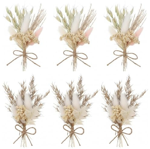 Nhgkju 6 Stück Mini Trockenblumen Sträuße (17cm) - Kleine Getrocknete Blumen mit Fliegenwedel & Gras für Deko, Hochzeit, Geschenk - Trockenblumenstrauß Weiß, Dried Flowers für Zuhause