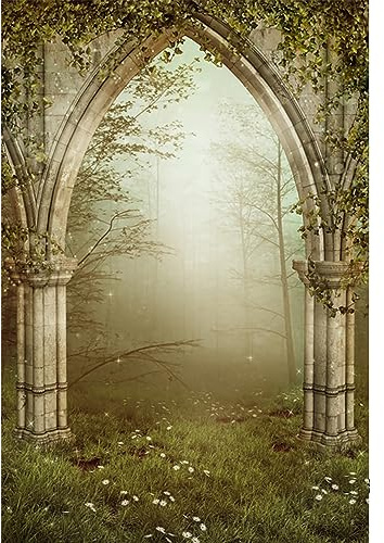 YongFoto 5x7ft Vinyl Photography Backdrop Gothic Ruins Stone Gate Fairytale Forest Fog Gardens Backdrops for Photo Shoots Lovers Party Game Adult Kids Baby Portrait Photo Background Studio Props