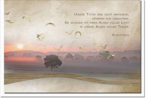 metALUm Trauerkarte ZUVERSICHT | Möwen im Sonnenuntergang 1201098