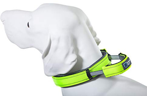 Armored Tech Dog Control Halsband mit integrierter Kurzleine (L - Halsumfang 45-53 cm, neon grün)