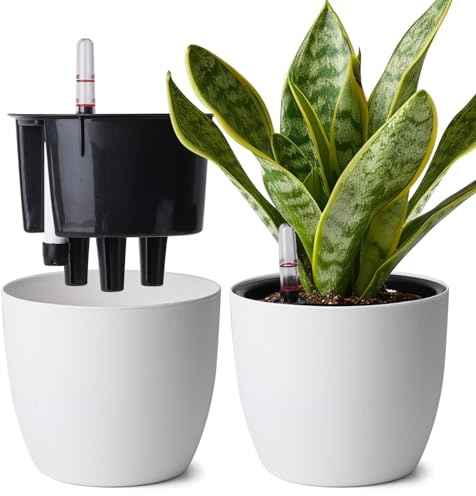 T4u Maceta de Autorriego 20 cm Pack de 2 con Indicador de Agua Blanco | Riego reducido, control fácil del agua, raíces hidratadas, Pothos, Monstera, flores, hogar, oficina, ventana, principiantes