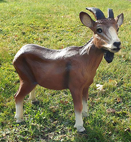 Fachhandel Plus Ziegenbock Steinbock Geißbock Deko Figur Ziege Franz Tierfigur Gartendekoration