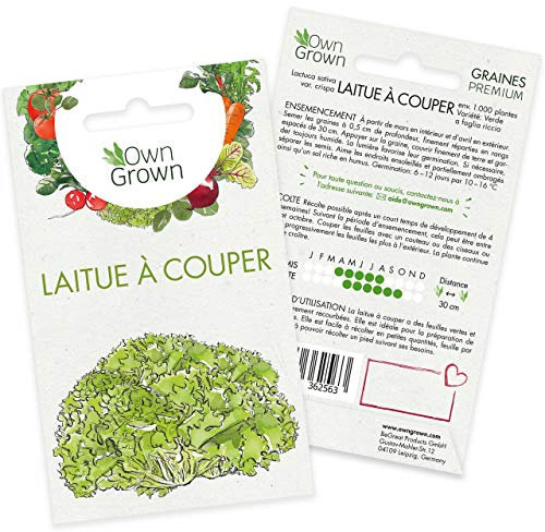 Graines de laitue à couper (Verde ricciolina), graines de laitue à couper à cultiver OwnGrown, graines pour environ 1000 plants de la variété Verde a foglia riccia