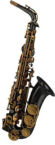 PECY Saxophon High Grade Professional Black Nickel Body Gold Tasten Altsaxophon