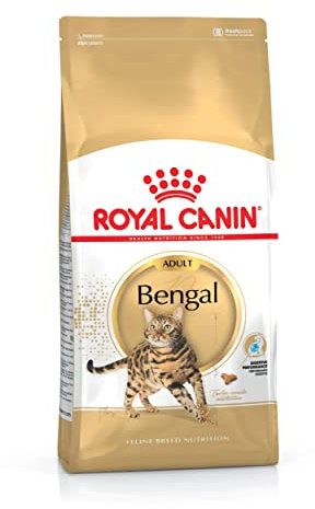 Royal Canin Bengal Adult, 1er Pack (1 x 10 kg)