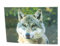 3 D Ansichtskarte Wolfskopf, Postkarte Wackelkarte Hologrammkarte Tier Wolf