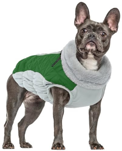 Hundejacke Wasserdicht, Hundemantel für Mittelgroßer Hunde Winter Winddicht Hundekleidung Schneeanzug(Grün, M)