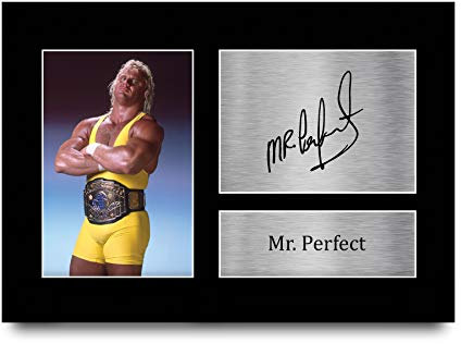 HWC Trading A4 Mr Perfect Gifts Autogramm-Bild für WWE & WWF Memorabilia Fans – A4