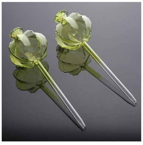 TXLEAPEY Automatischer Kaktus-Selbstbewässerungs-Pflanztopf, Kaktus-Glas, automatische Pflanzenbewässerungsbirnen, niedliche Pflanzenwasserzufuhr, Glasbirnen(Green)