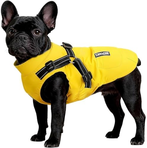 Flow fire Warm Winter Dog Coat with Harness Built in, Waterproof Dog Jacket for Small Dogs XL(L)