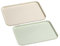 milaosk Bandejas para Servir 2 Piezas Bandejas Plastico Rectangular Bandeja Pequeña de Cocina Mini Bandeja para Cocina Restaurante Hotel 30.5 * 22 cm