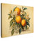 MuchoWow© Wandbilder 80x60 cm Wohnzimmer Wanddeko Schlafzimmer Zimmerdeko Fotowand Zimmer Deko Wand Dekoration Wall Art Vintage - Pflanzen - Orangen - Beige - Natur - Obst