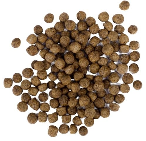 All Season Koifutter 6mm - schwimmendes Ganzjahres Futter für Koi und Teichfische für ausgewogene Fisch-Ernährung mit Fischöl, Astaxanthin (13,5 kg)