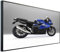 Ecowelle Infrarotheizung mit Bild | 750 Watt | 60x120 cm | Infrarot Heizung| | Made in Germany| e 141 Blaues Motorrad