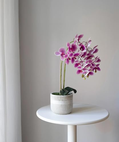 Orquídea Artificial con Maceta de Cerámica (2, Rosa, Maceta Royal)