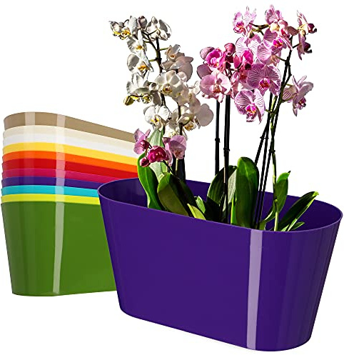 KADAX Blumentopf aus Kunststoff, 27 x 13 cm, breiter Topf, ovaler Pflanzentopf, Blumenübertopf für Orchideen, Bellis, Stiefmütterchen, Drazänen (Violett)