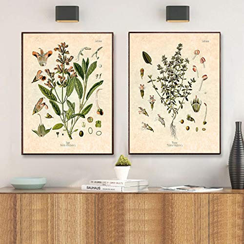 Print On Canvas Spice Herbs Print Vintage Botanical Poster Kochen Wandkunst Bild Leinwand Malerei Küche Room Decor 40x60cmx2 Rahmenlos