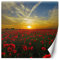 Feeby Papier Peint Intisse Prairie Coquelicots Fleurs 200x200 cm rouge Moderne Panoramique XXL Photo Mural Muraux Chambre Bureau Salle Coucher De Soleil Ciel