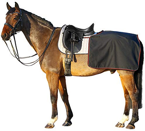 Euroriding Softshell Nierendecke schwarz - L