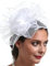 Zemusinet Fascinator aus Tüll, Blume, für Cocktailpartys, Damen, Fascinator, Haarspange, Kopfschmuck, Themenparty, Kostümzubehör