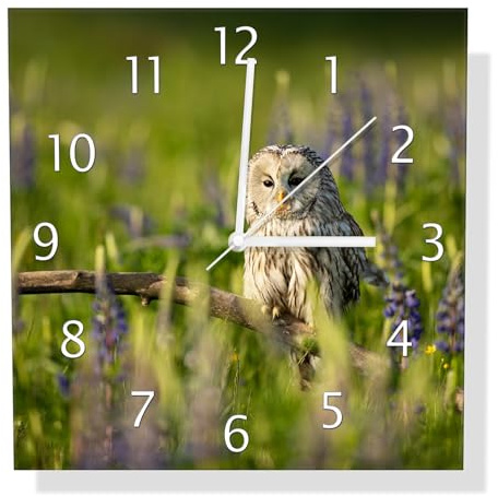 Wallario Design-Wanduhr Kauz im Blütenmeer aus Glas, Motiv-Uhr Größe 30 x 30 cm, weiße Zeiger