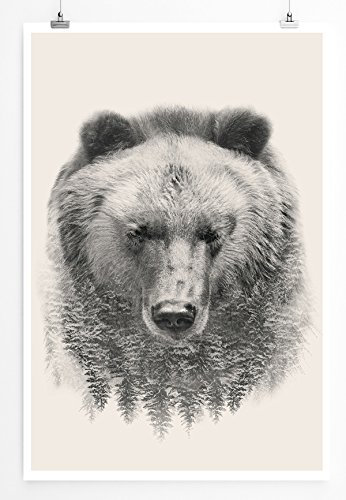 Eau Zone Home Bild - Bild – Der Wald im Bär- Poster Fotodruck in höchster Qualität
