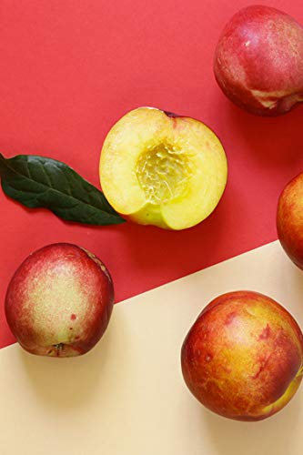 Albero di Pesco Noce pianta di pesca noce Età 2 anni già innestata pianta da frutto di pesche noci pianta vera di pesca noce venduta da eGarden.store (Armking)