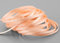 finemark 3 m x 3 mm Satinband HELL APRICOT (034) doppelseitiges Schleifenband aus Satin ohne Draht weich und glänzend Geschenkband Deko Band Double face Dekoband Dekorieren Kordel Basteln