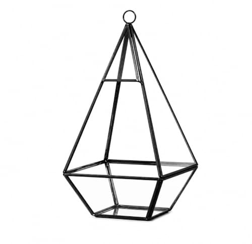 Floralcraft® Hanging Pyramid Terrarium, Black Geometric Glass Plant Display (H24 x W12cm), Triangular Hanging Planter for Succulents, Air Plants, Moss, Ferns & Cacti