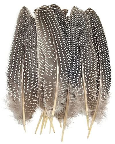 Natürliche Pfau-Fasan-Feder Straußen-Truthahn-Federn für Handarbeiten, Kopfschmuck, Kunsthandwerk, Dekorationszubehör, China, 15–20 cm, 20 Stück