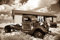 OLDTIMER Fototapete VLIES-300x223 cm (935A)-Retro Auto Motorrad Autos Route 66 Vintage Car Wandtapete-Inkl. Kleister-Vliestapete Bild Dekoration Wand-Dekor Moderne Motiv-Tapete Panorama Poster XXL
